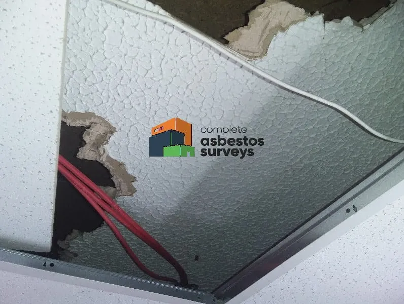Damaged Asbestos Textured Coating Above Suspended Ceiling