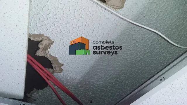 Damaged Asbestos Textured Coating Above Suspended Ceiling