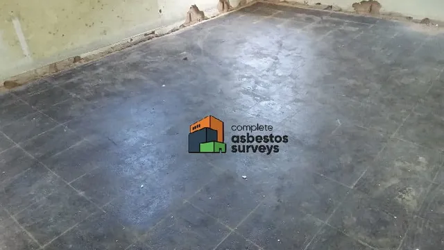 Asbestos Bitumen Adhesive Renovations