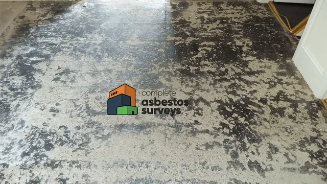 Floor Tile Adhesive