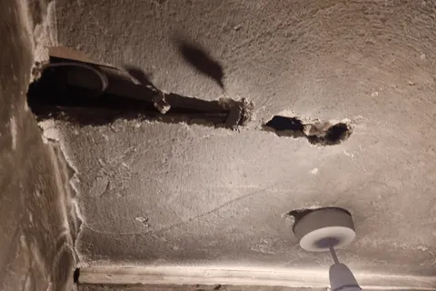 Horsehair lime plaster