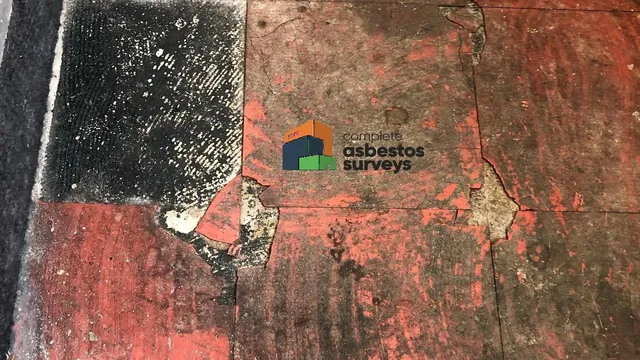 Damaged Asbestos Floor Tiles and Adhesive