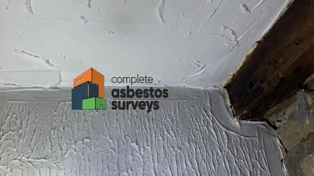Thick Artex Ceiling and Walls Pattern
