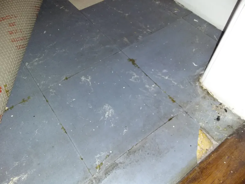 Worn asbestos vinyl floor tiles