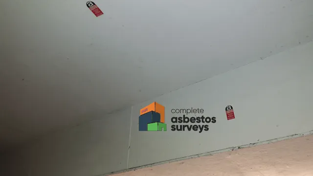 Asbestos Insulating Board Ceiling and Bulkhead