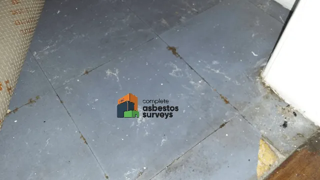 Blue Asbestos Tiles Underneath Carpet in Hallway of Domestic House