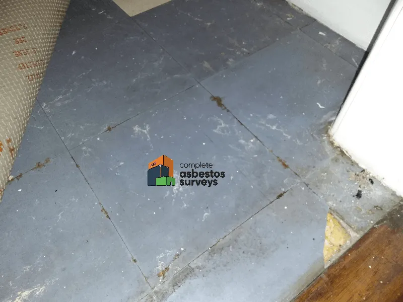 Blue Asbestos Tiles Underneath Carpet in Hallway of Domestic House