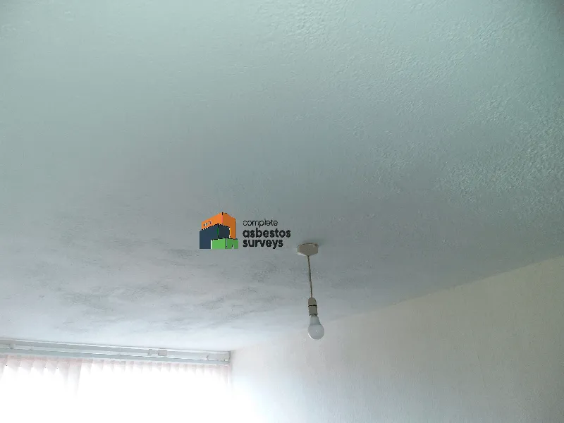 Asbestos Textured Coating Ceiling in Domestic Property
