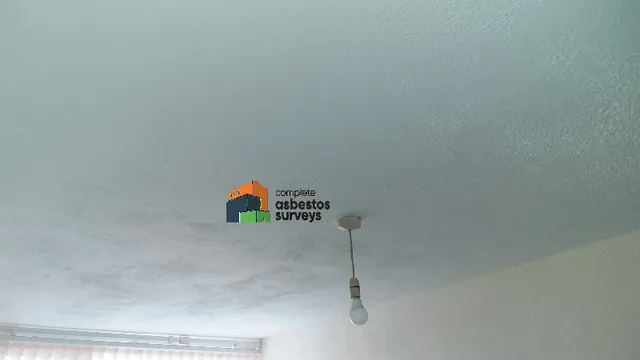 Asbestos Textured Coating Ceiling in Domestic Property