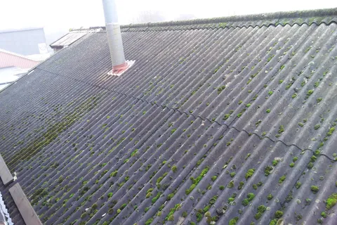 Asbestos corrugated roof of property