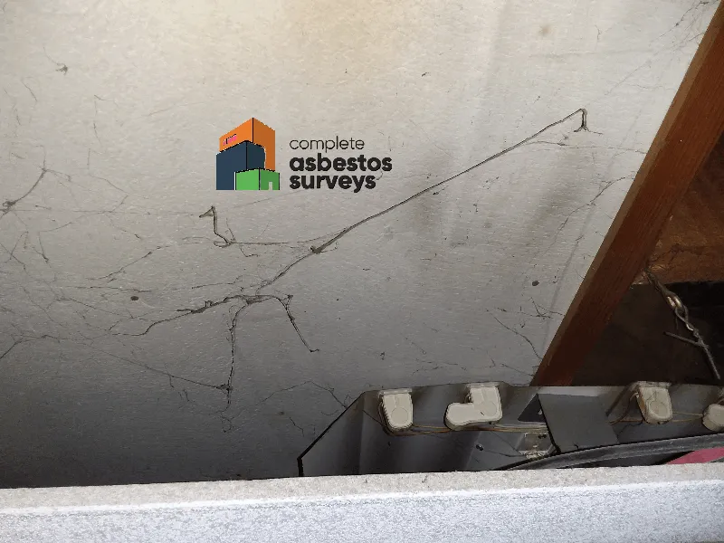 Asbestos Ceiling Above Bar Area