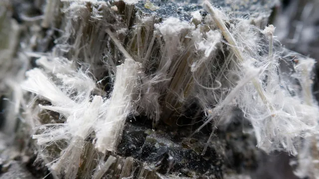 What asbestos looks like