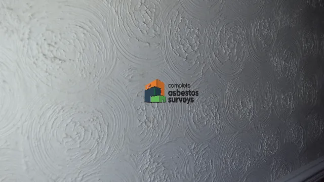 Asbestos Artex Walls in Old Building