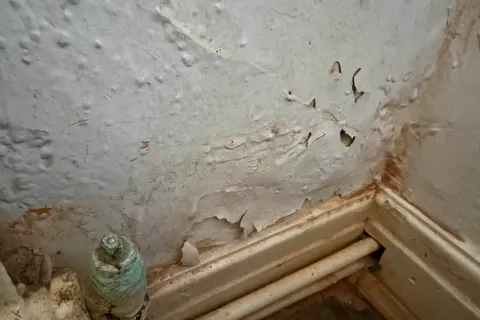Moisture-damaged textured coating on a utility room wall sampled for asbestos before the purchase of a farmhouse in York. Laboratory analysis confirmed no asbestos was detected.
