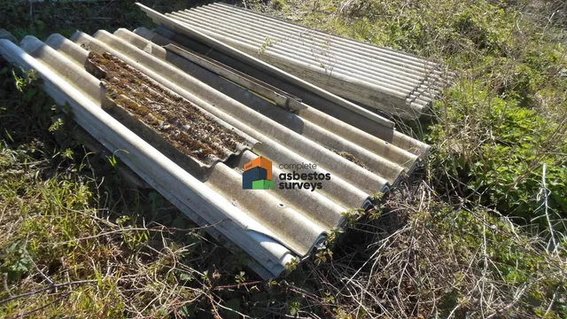 Asbestos Corrugated Cement Sheets in Garden