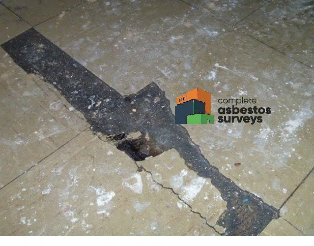 Damaged Asbestos Vinyl Floor Tiles