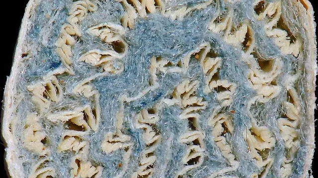 Asbestos Cigarette filter