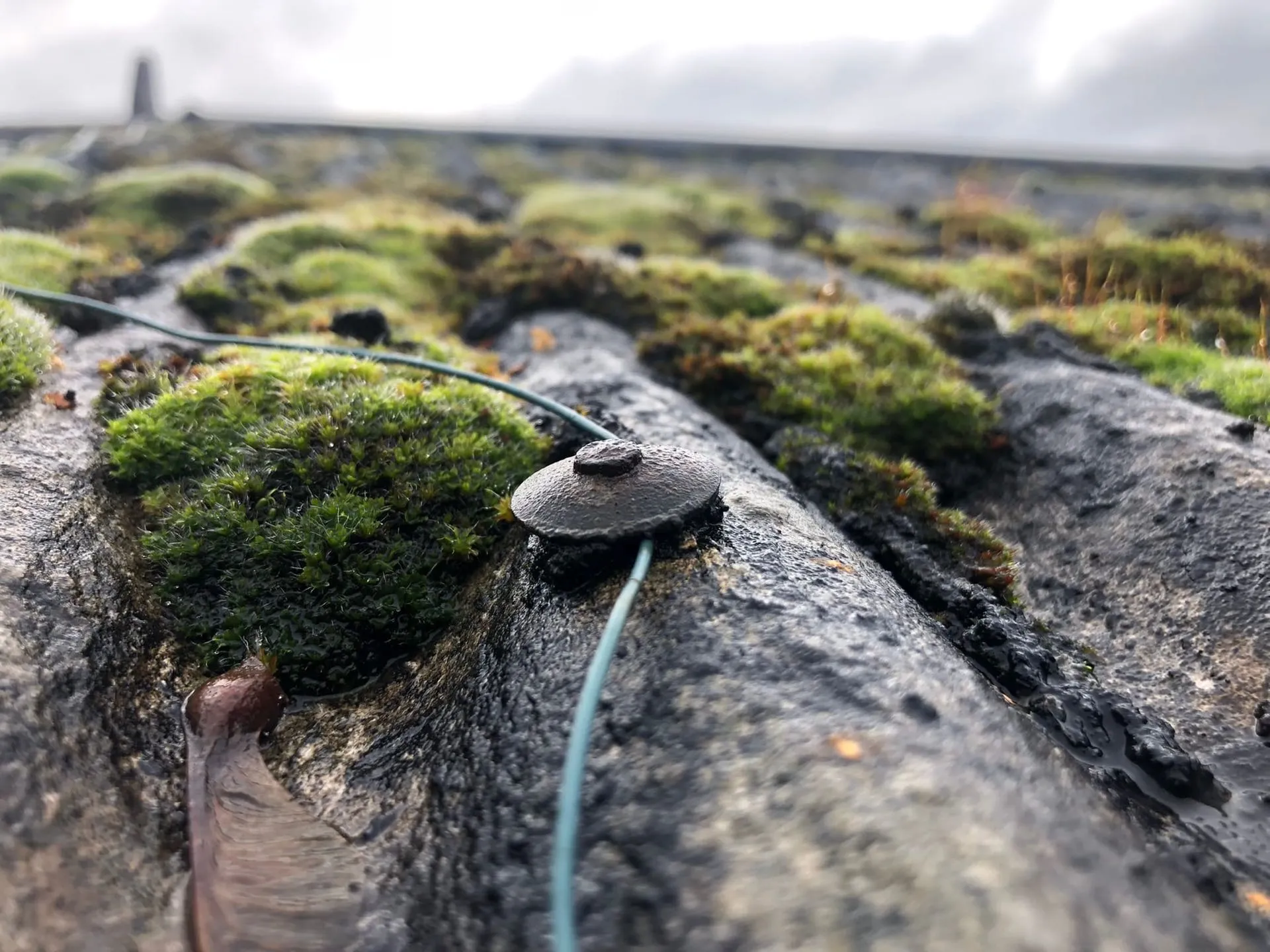 Weathered asbestos cement garage roof, moss growing along the corrugations around a corroded fixing bolt