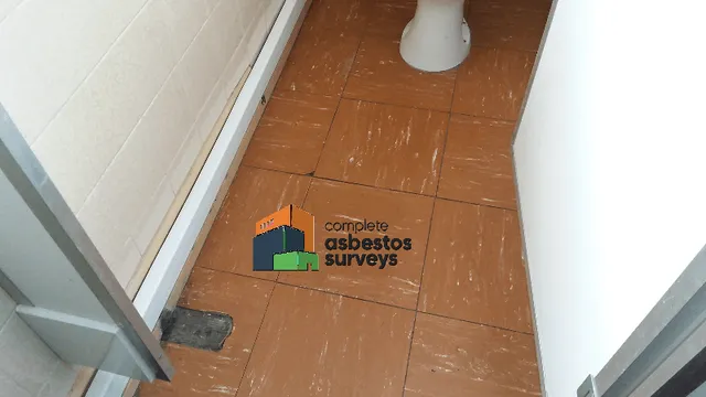 Asbestos Floor Tiles in Ladies Toilets of Pub