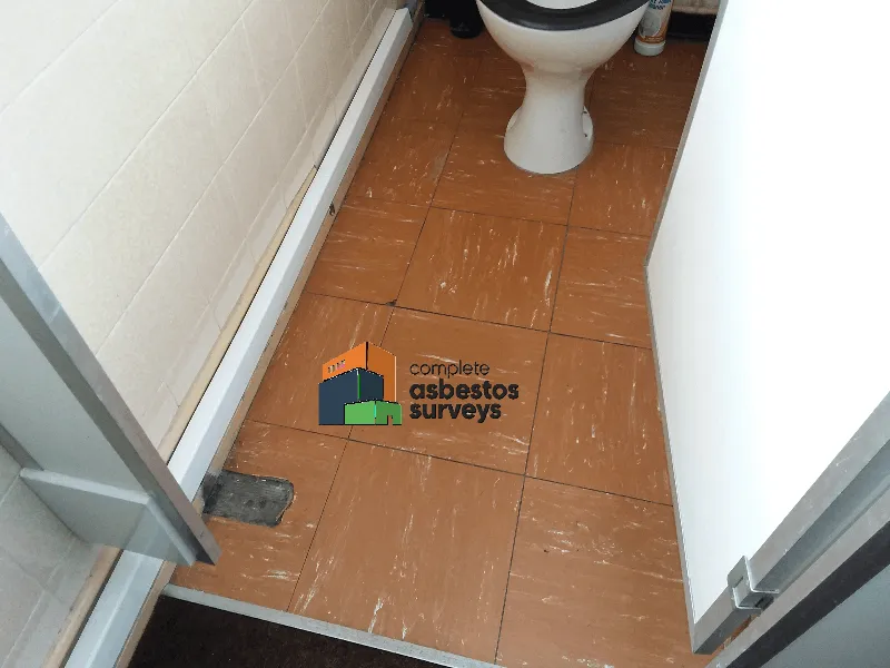 Asbestos Floor Tiles in Ladies Toilets of Pub