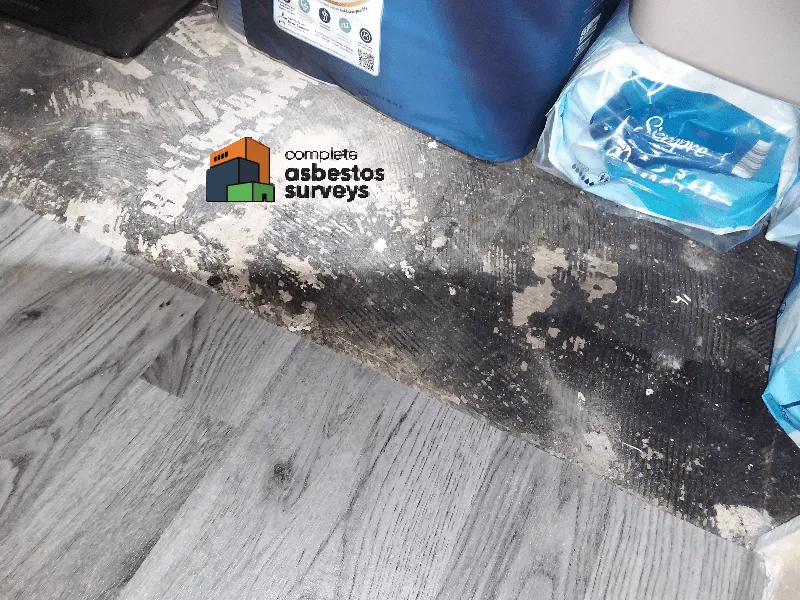 Asbestos Bitumen Adhesive Under Lino