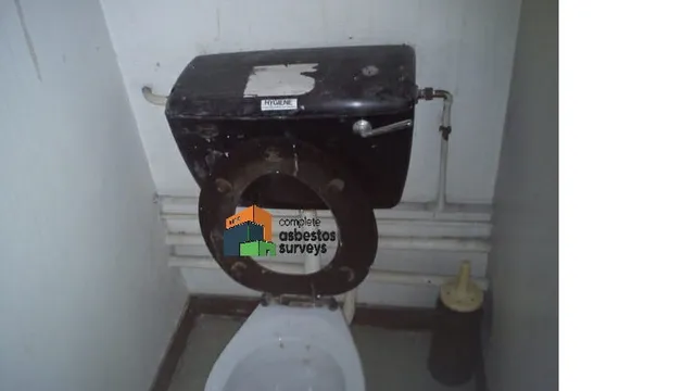 Asbestos Cistern and Toilet Seat