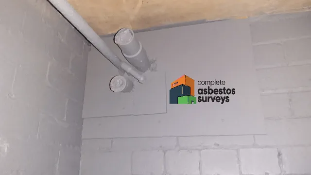 Encapsulated Asbestos Insulation on Walls