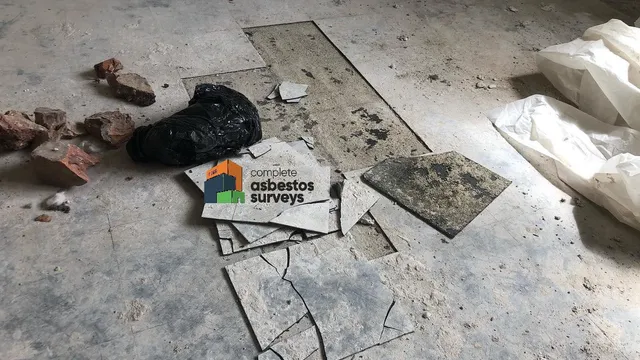 Damaged and Broken Asbestos Vinyl Floor Tiles