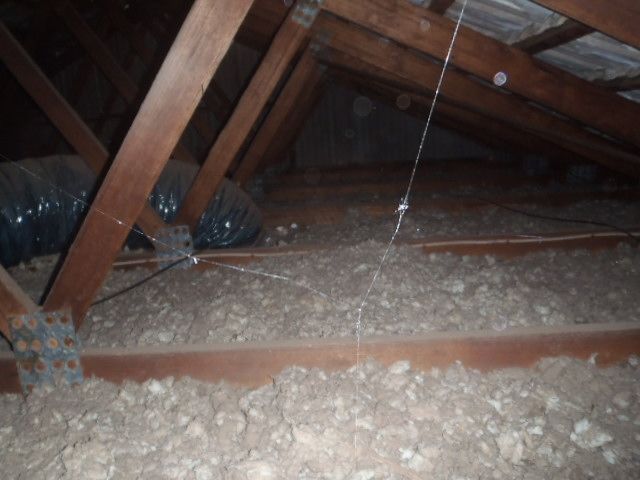 Loose fill asbestos in domestic loft