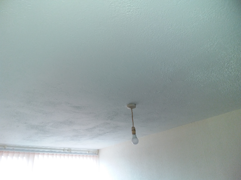 Asbestos textured coating ceiling in domestic property