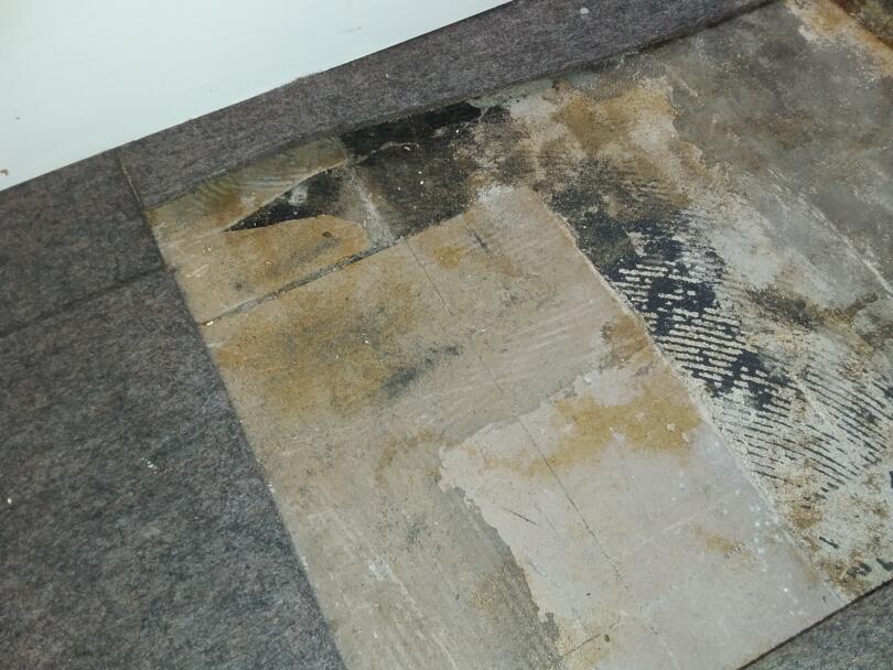 Asbestos vinyl floor tiles and bitumen adhesive under carpet tiles