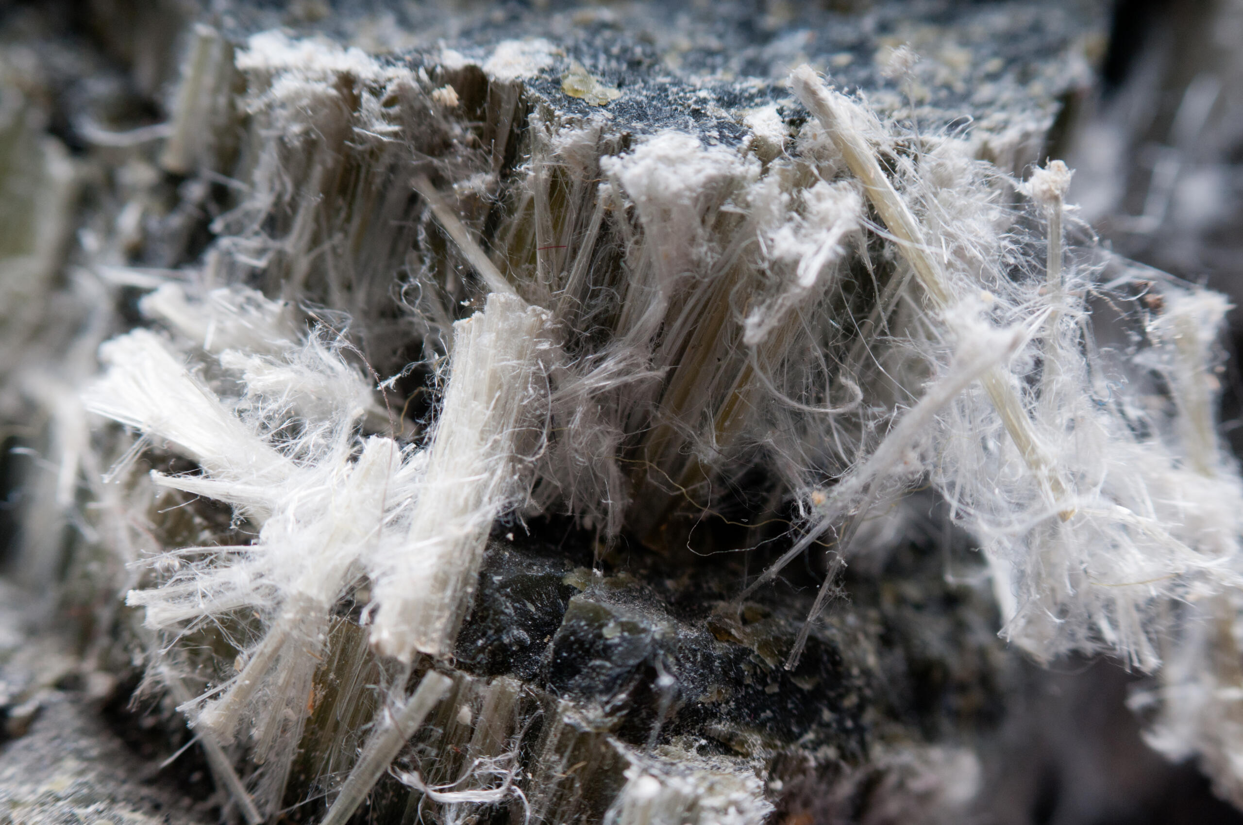 What asbestos looks like