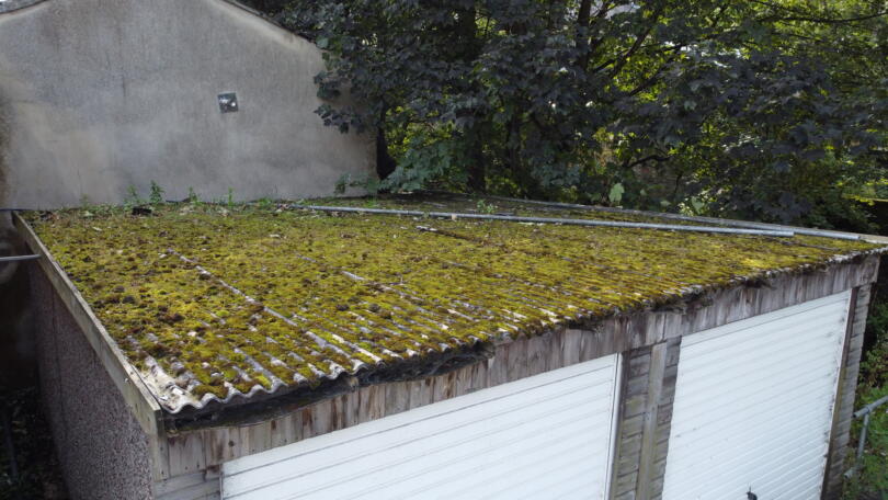Moss growing on asbestos double garage roof