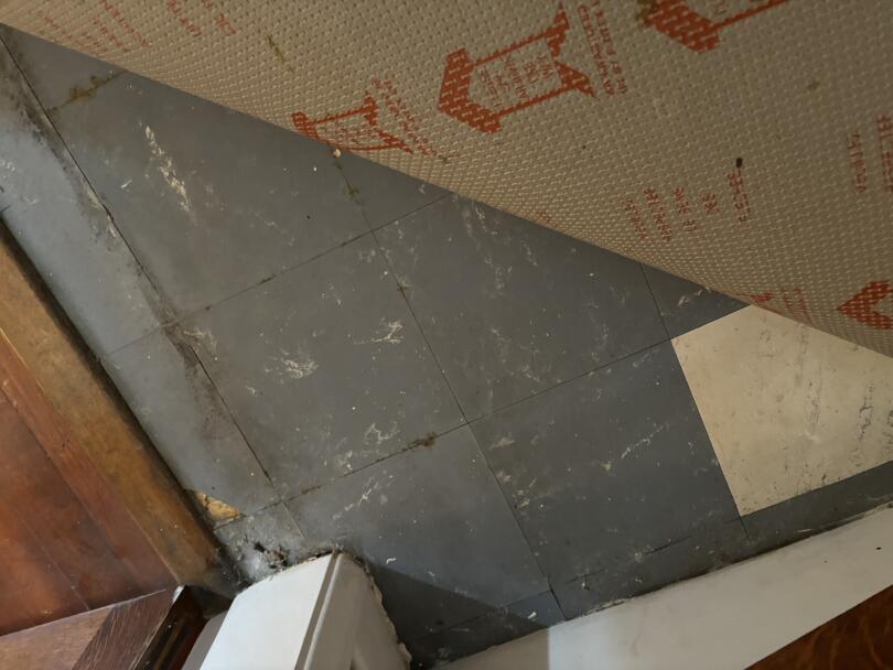 Asbestos thermoplastic tiles under carpet